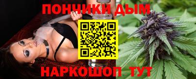 индика Заводоуковск