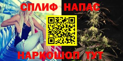spice Ирбит